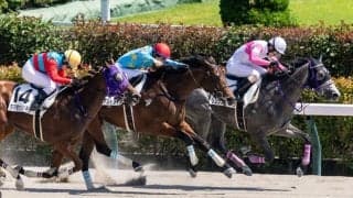 【東京7R】リュウノタブークが波乱を演出…クビ差2着に谷原柚希のタマモカンパネラ