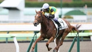 【函館1R】武豊ベビーズブレスが人気に応えて逃げ切り