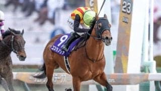 【浦和・さきたま杯枠順】JpnI・3勝目狙うシャマルは2枠2番、フェブラリーS覇者コスタノヴァは3枠3番