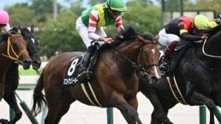 ハンデ重賞の函館記念とラジオNIKKEI賞/今週の競馬界の見どころ
