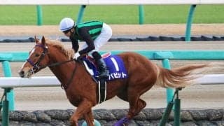 急遽の代打で後の海外G1馬に勝利 内田博幸騎手の鮮やかな逃げ切りから5年