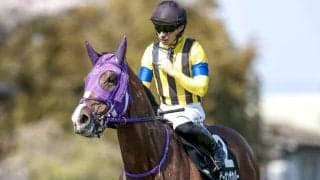 【ラジオNIKKEI賞見どころ】ビーオンザカバーが連勝で重賞制覇だ