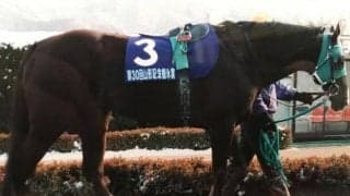 さきたま杯勝ち時計ランキング 99年の衝撃タイムは今もコースレコード