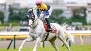 【先週のJRA抹消馬】重賞3勝を挙げた白毛馬ハヤヤッコ、芝・ダート・障害で白星を挙げたガンダルフなど