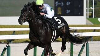 【函館記念想定騎手】ハヤテノフクノスケは横山武史騎手、マコトヴェリーキーは北村友一騎手