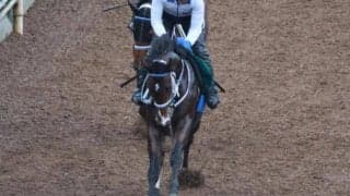 「1歳の頃から良かった馬」と寺島師も好感触 ゼロヴィジビリティが初陣/関西馬メイクデビュー情報