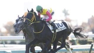 【AI予想・ラジオNIKKEI賞】混戦ムードの3歳限定ハンデ重賞！ 人工知能は波乱の可能性も示唆