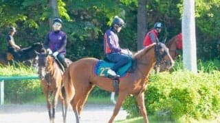 全兄に皐月賞馬のジオグリフ ロスパレドネスが日曜福島で初陣/関東馬メイクデビュー情報