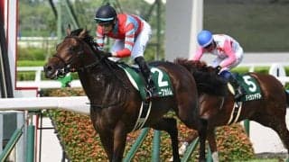 しらさぎS初代王者に輝いたキープカルム スプリントチャンピオン同士の配合は大成功