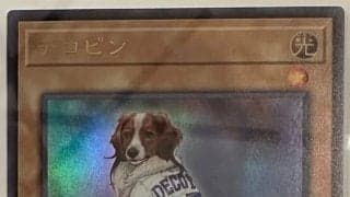 異例　デコピンが遊戯王カードに…大谷翔平がSNSで公開　“オフの日”最新ショットも