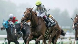 【函館記念展望】波乱のハンデ重賞は前走重賞組のキミノナハマリアに妙味あり