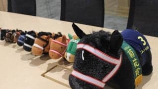 きょうはUFOキャッチャーの日 「サラブレッドコレクション」の“生みの親”に思いを聞いてみたら