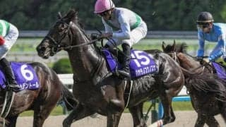 【函館記念】青森産馬のJRA重賞制覇なら5年ぶり ハヤテノフクノスケが戴冠なるか