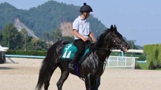 キッコベッロなど先週の入厩情報/栗東トレセンニュース