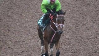 ファントムヴォルトなど先週のゲート試験/栗東トレセンニュース