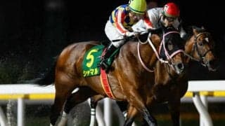 【浦和・さきたま杯注目馬】上半期のダート短距離王決定戦に優駿12頭集結