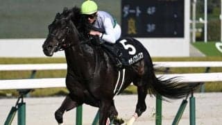 【函館記念予想オッズ】ハヤテノフクノスケが予想1番人気