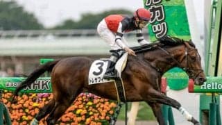 【ラジオNIKKEI賞予想オッズ】トレサフィールが予想1番人気