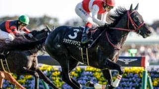 【ラジオNIKKEI賞展望】好成績データをすべて満たすショウナンマクベスに注目