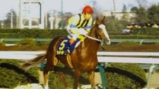 37年前の「1分57秒8」は今も破られず 函館記念の勝ち時計ランキング