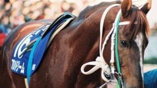 28年前に行われた“6月”の函館記念 アロハドリームの3馬身差V