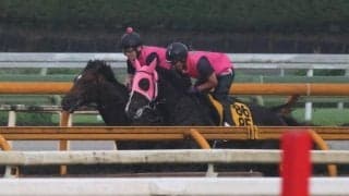 ラムジェット、帝王賞追い切り速報/栗東トレセンニュース