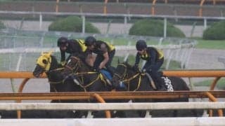 メイショウハリオ、帝王賞追い切り速報/栗東トレセンニュース