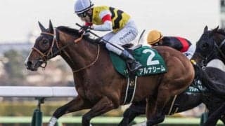 【函館記念】3年ぶりに重賞ウイナーの戴冠なるか アルナシームが負けられない一戦だ