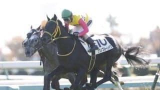 【ラジオNIKKEI賞予想】妙味ある伏兵が不在？ AIが挙げたのは意外にも人気馬