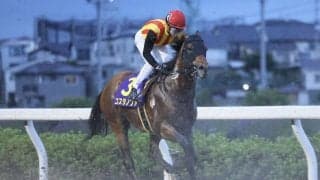 【さきたま杯】ルメール「スタートが決まらなかった…」コスタノヴァ出遅れで11着大敗