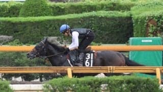 クラスペディア、北九州記念1週前追い切り速報/栗東トレセンニュース