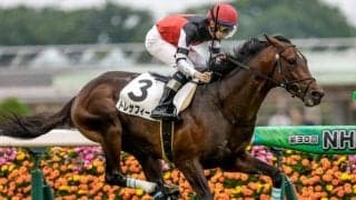 【ラジオNIKKEI賞出走馬・騎手確定】トレサフィール＆横山典弘騎手、バズアップビート＆戸崎圭太騎手など14頭