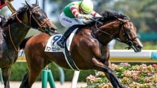 【函館記念出走馬・騎手確定】マコトヴェリーキー＆北村友一騎手、ハヤテノフクノスケ＆横山武史騎手など14頭