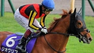 全兄は皐月賞馬のジオグリフ ロスパレドネスがデビューV狙う