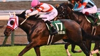 叔母ヨカヨカの九州産馬 ナンテヒダがデビュー勝ちなるか