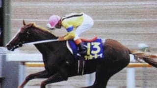 函館記念着差ランキングTOP5 1位は圧巻の5馬身差V