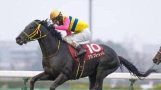 【ラジオNIKKEI賞枠順確定】フクノブルーレイクは2枠2番、トレサフィールは7枠11番