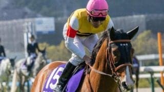 【函館記念枠順確定】アルナシームは6枠9番、マコトヴェリーキーは8枠13番