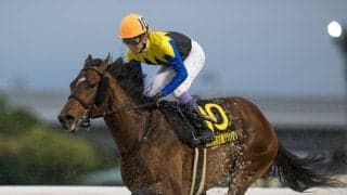 【帝王賞】武豊ノットゥルノ、川田ウィルソンテソーロなどJRAは6頭