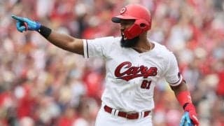 【広島好き】カープの交流戦を個人成績で振り返る