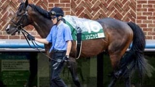 今週の武豊騎手は10鞍 ゾンニッヒで2年ぶりの青函S制覇なるか