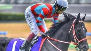 コントレイル産駒初勝利なるか セレクション7200万円のジーネキングが初陣