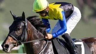 【松島特別】半妹は名牝リバティアイランド ロムネヤが待望の3勝目なるか