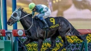 【今日の注目ポイント】青函SでペアポルックスがOP2勝目を狙う