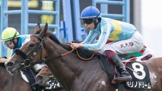 【青函S】ヒモ荒れ傾向のハンデ戦 道中の位置取りがカギか