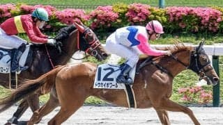 【博多S】9番人気が好成績の荒れる舞台 データが示す相性の良い種牡馬とは