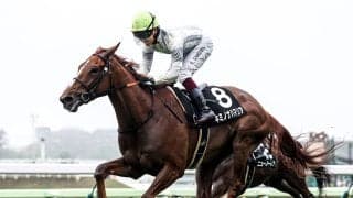 【競馬予想】函館記念は10年連続で万馬券　今年「穴」をあけそうな狙い目の２頭は？