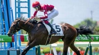 【函館5R新馬戦結果】インディチャンプ産駒フィオラーノが押し切り勝ち