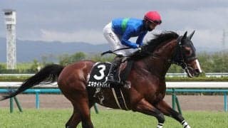 【競馬予想】ラジオNIKKEI賞は１番人気、トップハンデ馬が不振　狙い目は急成長中の伏兵２頭