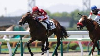 【新馬/函館5R】インディチャンプ産駒 フィオラーノがデビューV